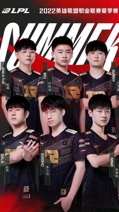 在这篇文章 在这篇文章