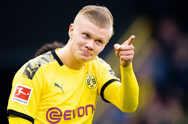 它背后是节 它背后是节