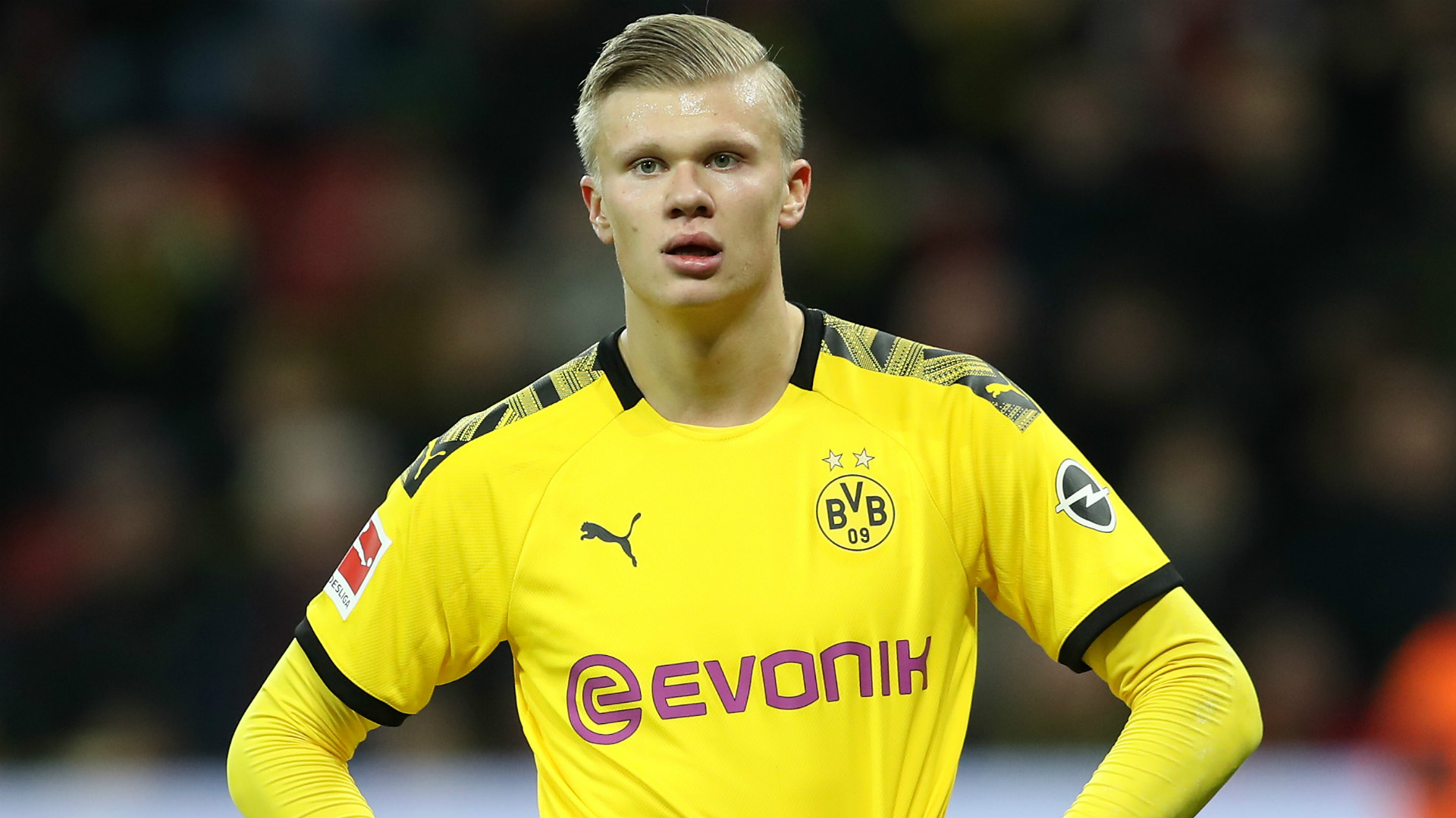 品牌赞助与